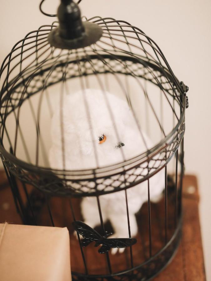 Apartmán Oporto Guest Harry Potter Flat With Parking Pokoj fotografie